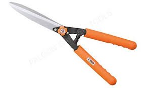 Hedge Scissor